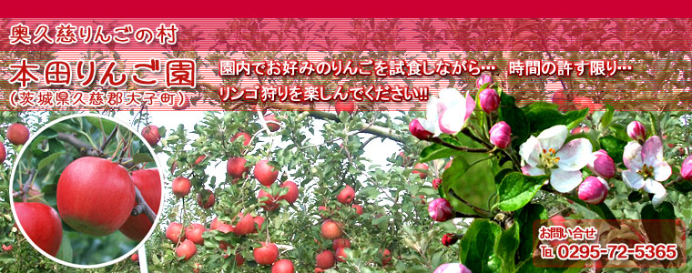 奥久慈りんごの村のりんご狩り|本田りんご園